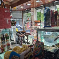 کارگر ساده فروشنده کاراآموز