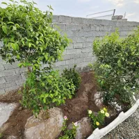 باغ-و-باغچه-160متری-سندار