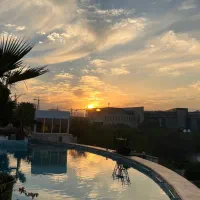 هاست ،سالن  ، آشپز