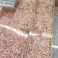پسته درجه یک اکبری دامغان|خوردنی و آشامیدنی|تهران, تهرانسر مرکزی|دیوار