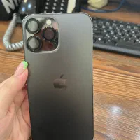 13pro max