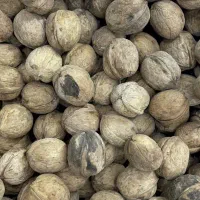 خرید و فروش خشکبار|خوردنی و آشامیدنی|شبستر, |دیوار