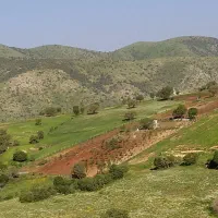 زمین-باغ