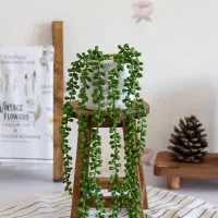 انواع ریسه ها و شمشاد سبز و گلدان|گل مصنوعی|اهواز, پادادشهر|دیوار