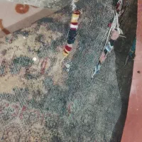 فرش|فرش|مشهد, شهرک شهید باهنر|دیوار