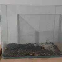 اکواریوم شرکتی لبه گرد سایز کوچک