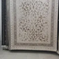 نمایندگی فرش حمیدی(کاشان) شعبه نیشابور|فرش|نیشابور, فردوس شمالی|دیوار