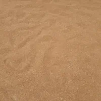 گندم