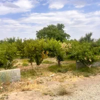 فروش تک قطعه ۲۱۰متر بر۱۰ اقساط۵ماهه جابان دماوند|فروش زمین و ملک کلنگی|دماوند, دماوند|دیوار
