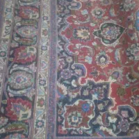 قالی دستی ۶ متری پشمی|فرش|مشهد, ادیب نیشابوری (شهرک غرب)|دیوار