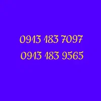 فروش دو خط ۹۱۳ کد ۱۸۳