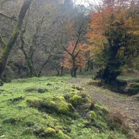 خانه-ویلایی-سنددار