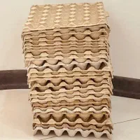 شانه تخم مرغ