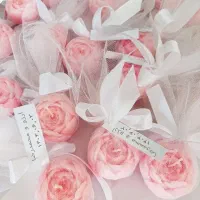 جشن و مراسم gift گیفت|صنایع دستی و سایر لوازم تزئینی|شیراز, شیمی گیاه|دیوار