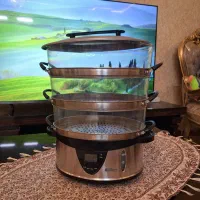 بخار پز ، مولتی کوکر فلر آلمان در حد