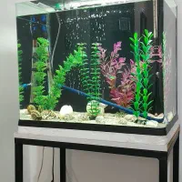 آکواریوم شرکتی دلسا مدل K500|ماهی|کرمانشاه, |دیوار