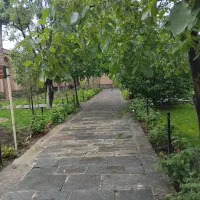 کاشت گل تعویض خاک گلدان هرس انواع درخت|خدمات باغبانی و درختکاری|اردبیل, |دیوار