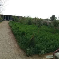 فروش چهار دیواری وزمین