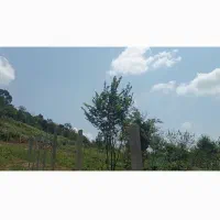 فروش254-متر-زمین-باغی-داخل-طرح-در-سوخته-کوه
