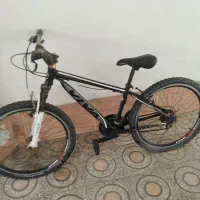 دوچرخه 26ویوا