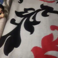 گلیم فرش|گلیم، جاجیم، گبه|شوش, |دیوار