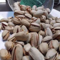 تخفیف ویژه پسته شب یلدایی زیر قیمت|خوردنی و آشامیدنی|تهران, افسریه جنوبی|دیوار