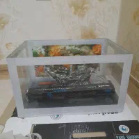 آکواریوم با وسایل|ماهی|سمنان, |دیوار