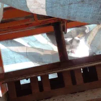 یک دستگاه بلوک زنی فروش