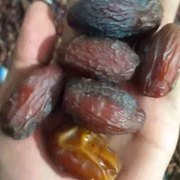 خرما مجول وپیارم|خوردنی و آشامیدنی|فسا, |دیوار