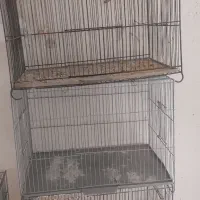 قفس جفت کنی قناری و سهره