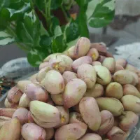 پسته تازه