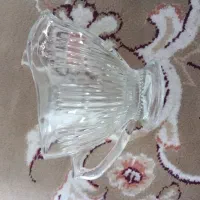 یک عدد سس خوری نو نو