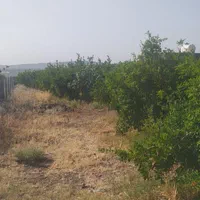 باغ در روستای اندیس|فروش خانه و ویلا|قم, ولیعصر|دیوار
