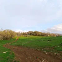 چوپان. کارگر