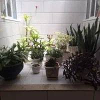 واحد‌آپارتمان۱۲۶متری‌کوچه‌سرباز‌جهت‌کرایه