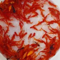 پخش عمده ماهی قرمز