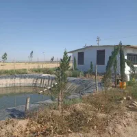 کانکس ویلایی 50متری ارتفاع بلند|مصالح و تجهیزات ساختمان|آبیک, |دیوار