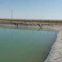 ساخت استخر|مصالح و تجهیزات ساختمان|بیرجند, |دیوار