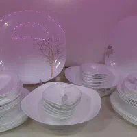 ظروف پذیرایی