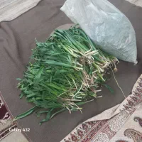 کیلوی ۲۰۰ هزارتومان