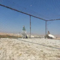 کفتر|پرنده|شیراز, شهرک گلستان|دیوار