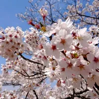 سال نو و عید فطر  مبارک طاعاتتون قبول