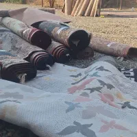 قالیشویی وزرا