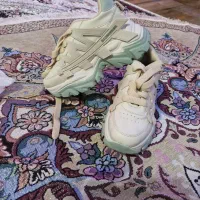 یک جفت کفش اسپورت|کیف، کفش، کمربند|سنندج, |دیوار