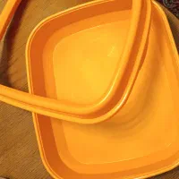 ظرف غذا و ظرف خاک گربه|گربه|کرج, فاز ۱ مهرشهر|دیوار