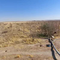 زمین کشاورزی