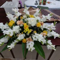گل طبیعی
