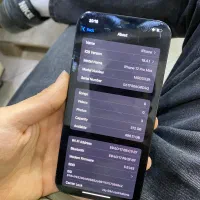 iphone 12 pro max|موبایل|مهاباد (آذربایجان غربی), |دیوار