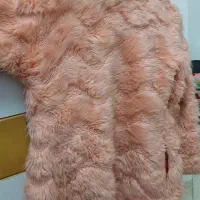 پالتو شیک نو|لباس|دوگنبدان, |دیوار