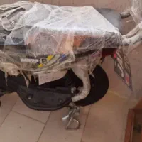 عالی|دوچرخه، اسکیت، اسکوتر|بندر دیر, |دیوار